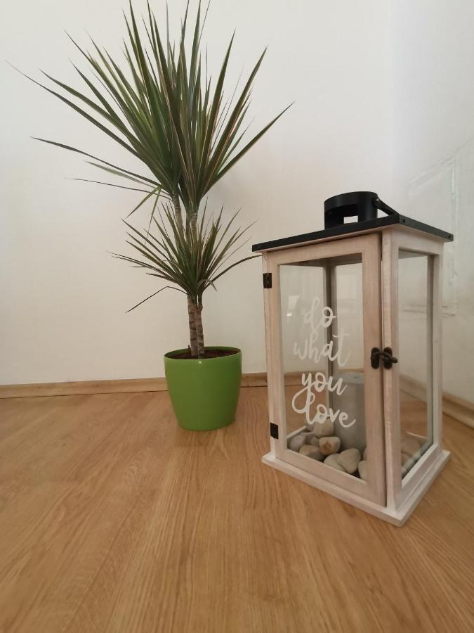 Apartment Lora 茨里克韦尼察 外观 照片