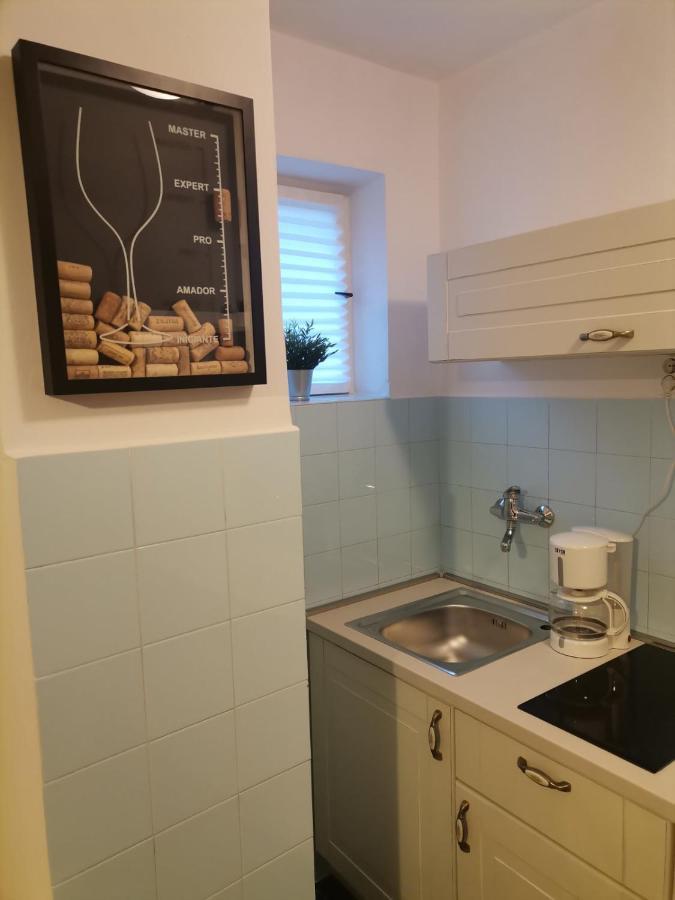 Apartment Lora 茨里克韦尼察 外观 照片